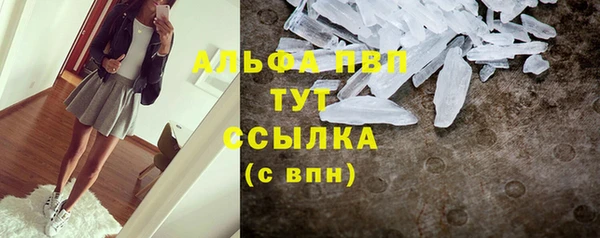 PSILOCYBIN Балабаново