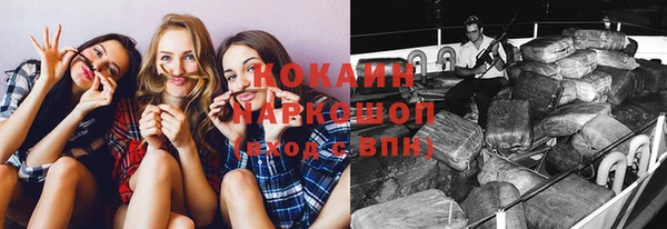 PSILOCYBIN Балабаново