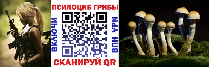 Купить  Ликино-Дулёво  Псилоцибиновые грибы мухоморы 